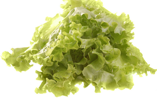 生菜