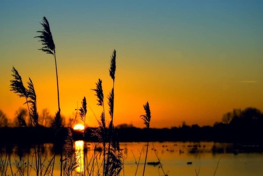 日落湿地