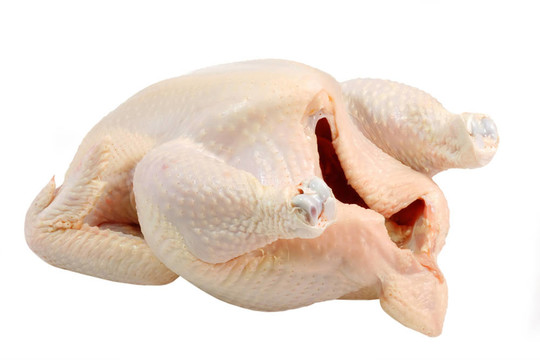 生雞肉