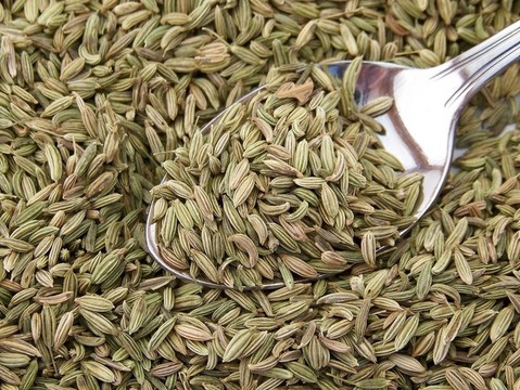 干上一勺茴香