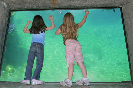 兩個(gè)年輕女孩的水族館