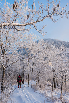 雪 雪景 白雪 仰天山風光 冬