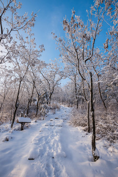 雪 雪景 白雪 仰天山風光 冬