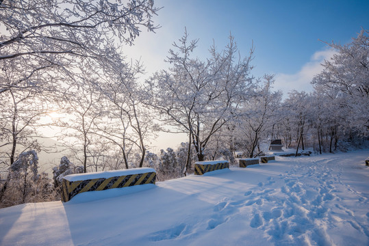 雪 雪景 白雪 仰天山風光 冬