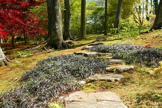 裝飾園