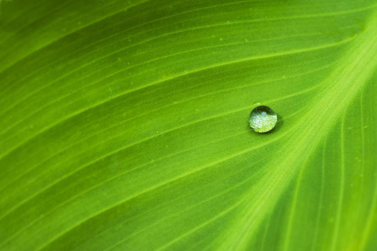 水我