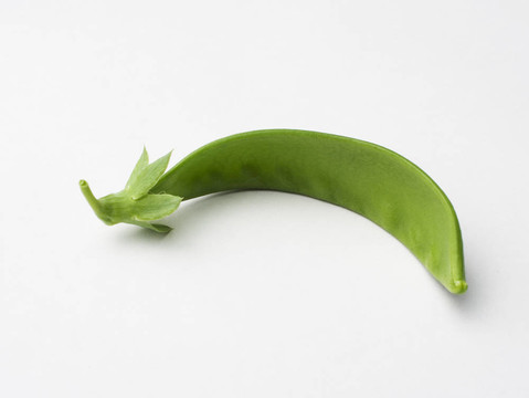 雪豌豆