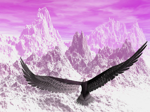 鷹