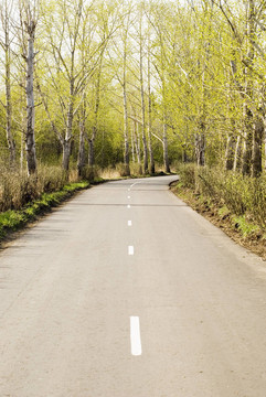 林道