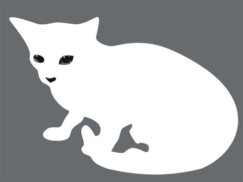 貓