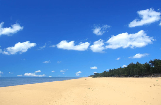 美麗的海灘海灘