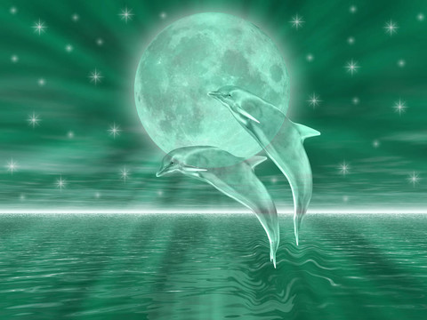 海豚