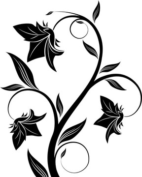 花藝設(shè)計(jì)元素