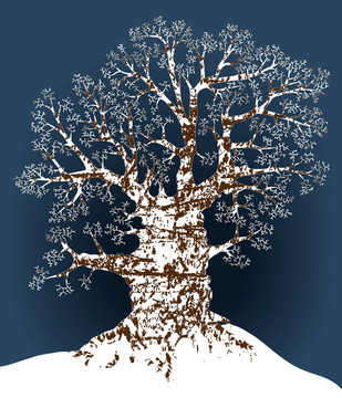 雪櫟
