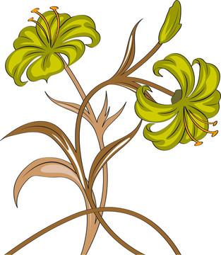 花的抽象