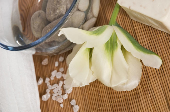 welness產(chǎn)品