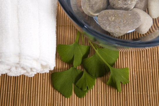 替代醫(yī)學(xué)。銀杏葉治療