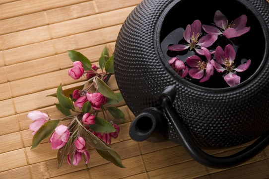 壺茶
