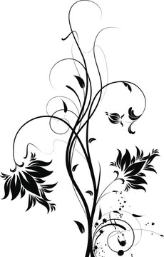 花的抽象