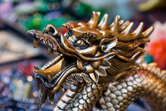 金龍