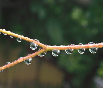 水滴