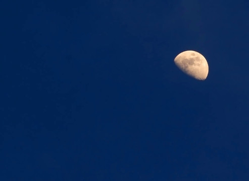 天空中的Moon。