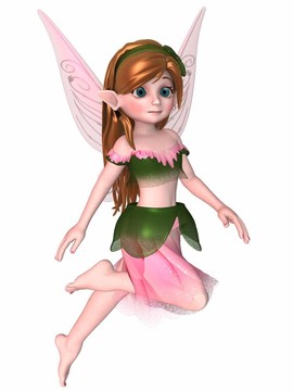 香椿FAE