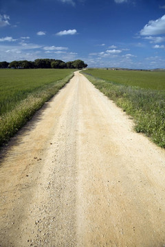 沙跑道