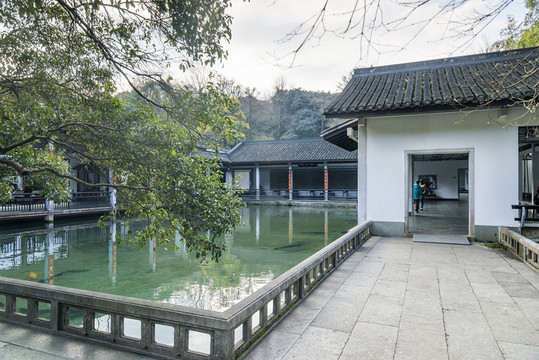 玉泉魚躍