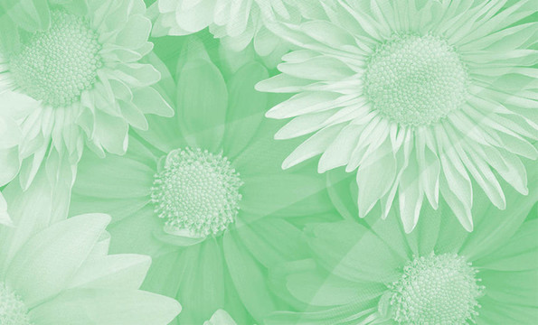 Flowers的背景