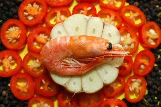 食物組成