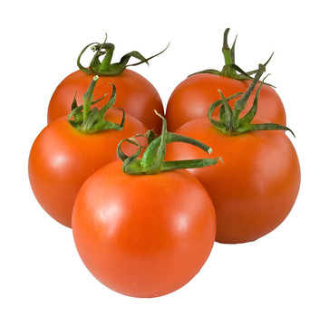 tomato7