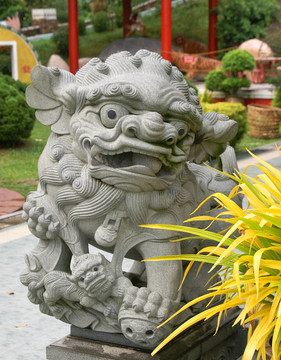 灰色的石獅子