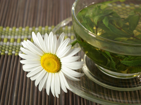杯花草茶和洋甘菊