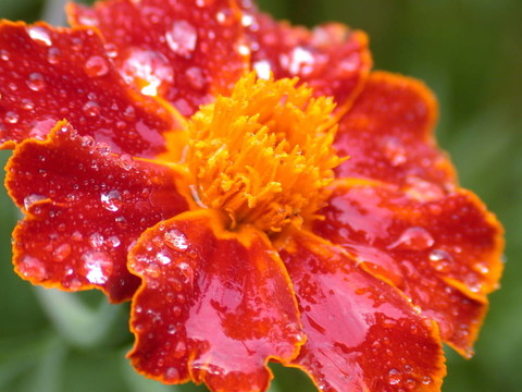 雨后