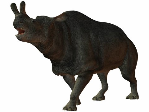 brontotherium-3d恐龍