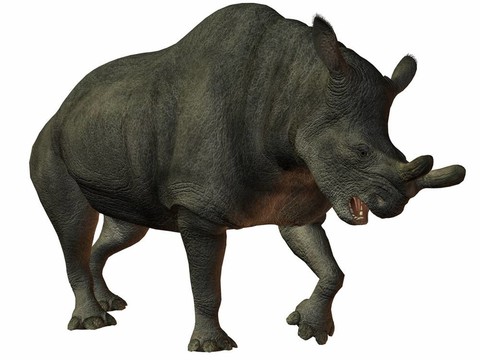 brontotherium-3d恐龍