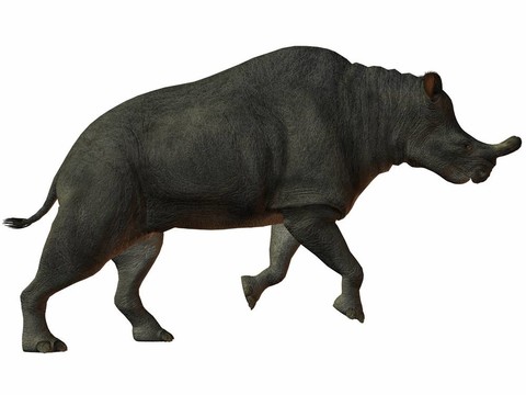 brontotherium-3d恐龍