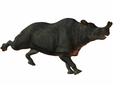brontotherium-3d恐龍