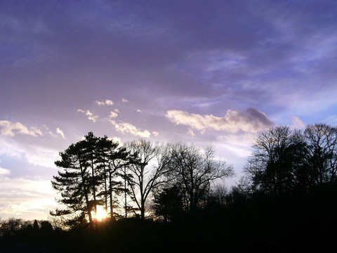 夕陽(yáng)林線