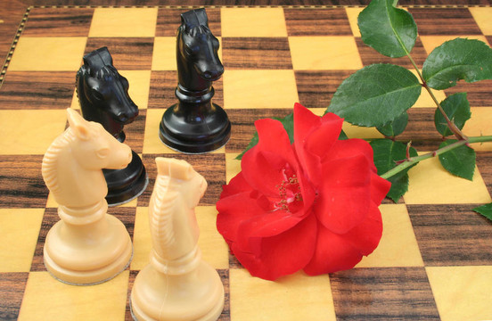 愛(ài)下棋