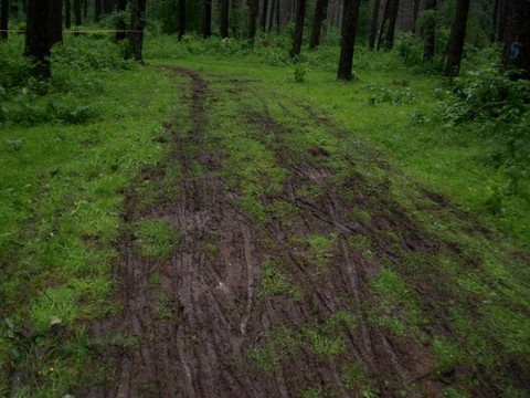 骯臟的道路