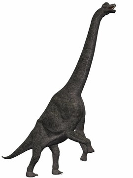 brachiosaurus-3d恐龍