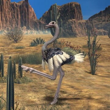 ostrich-3d動物