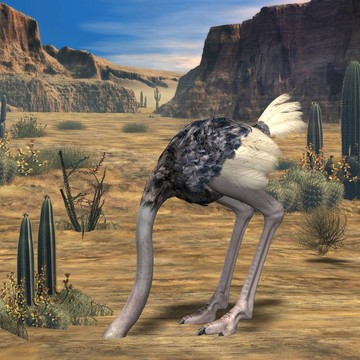 ostrich-3d動物