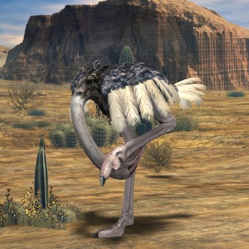 ostrich-3d動物