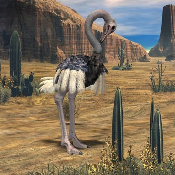 ostrich-3d動物