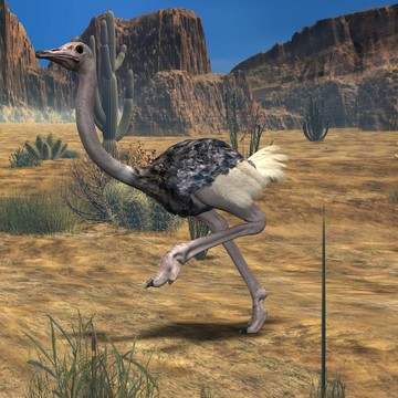 ostrich-3d動物