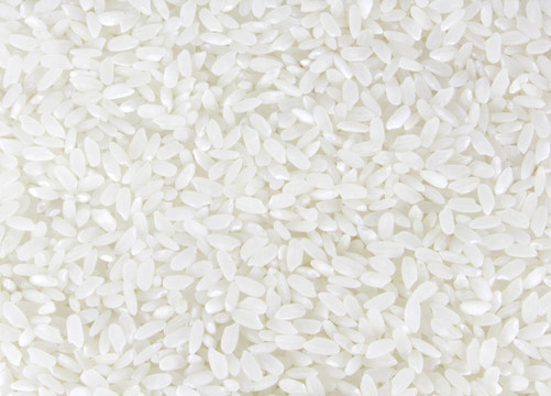 White Rice全背景
