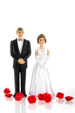 婚禮的白人夫婦